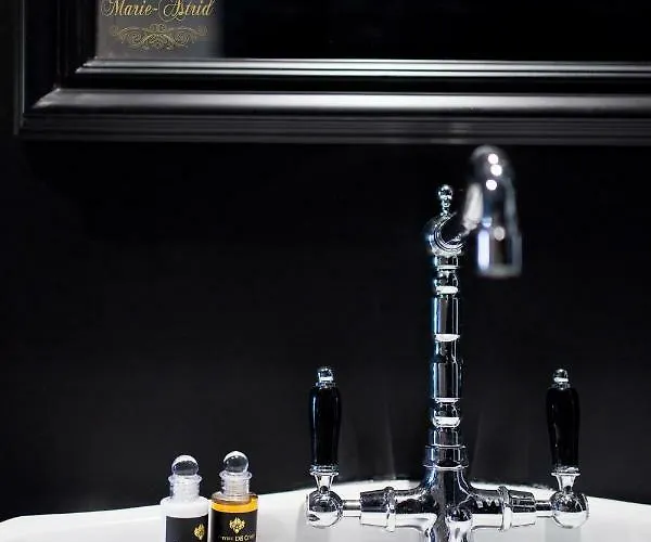 Les Secrets De Marie-astrid, *